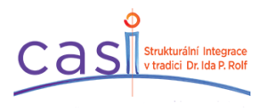 CASI Logo